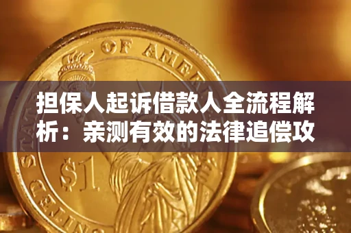 武汉担保人起诉借款人全流程解析：亲测有效的法律追偿攻略