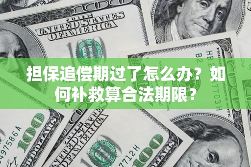 武汉担保追偿期过了怎么办？如何补救算合法期限？