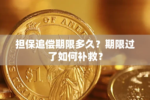 武汉担保追偿期限多久？期限过了如何补救？