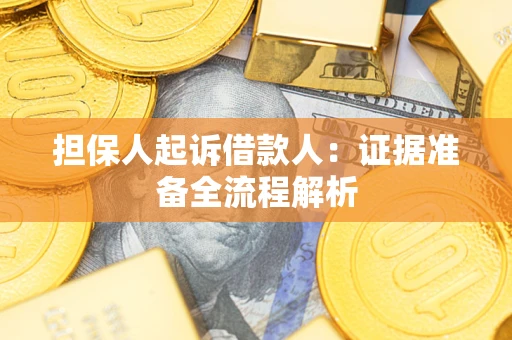 武汉担保人起诉借款人：证据准备全流程解析