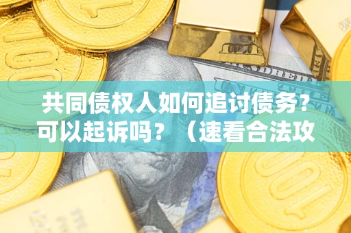 武汉共同债权人如何追讨债务？可以起诉吗？（速看合法攻略）