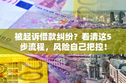 武汉被起诉借款纠纷？看清这5步流程，风险自己把控！