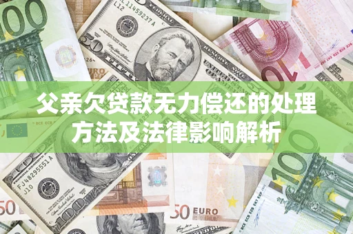 武汉父亲欠贷款无力偿还的处理方法及法律影响解析